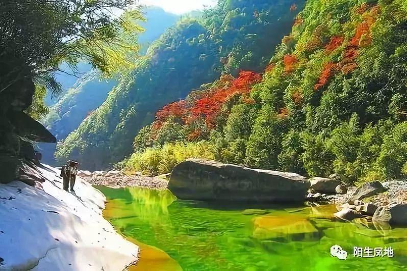 经济实用之选？哈弗枭龙MAX插混SUV惊艳亮相！